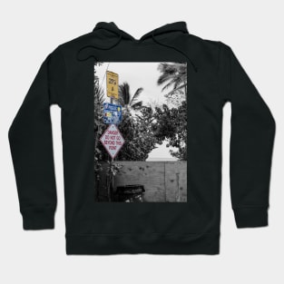 279A - Ehukai Hoodie